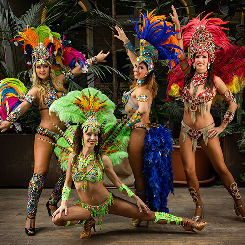 Samba Fever Brazil Show
